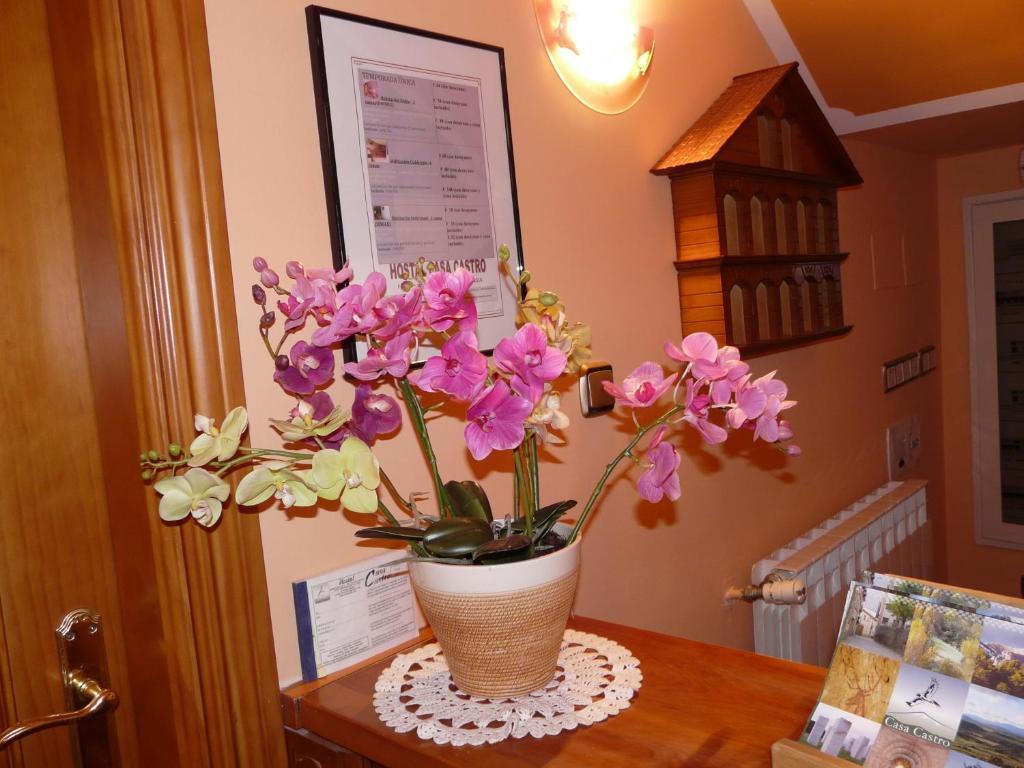 Hostal Rural Casa Castro Alberuela de la Liena Exteriör bild